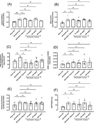 Neuroprotective effect of Bouvardia ternifolia (Cav.) Schltdl via inhibition of TLR4/NF-κB, caspase-3/Bax/Bcl-2 pathways in ischemia/reperfusion injury in rats